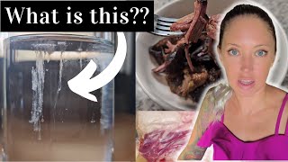 After 1 year of eating meat Im finally getting tested  Carnivore Diet [upl. by Erdreid]