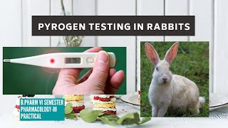 Test for Pyrogens Rabbit method [upl. by Assenay]