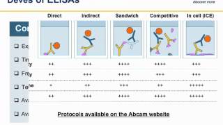 ELISA principles and troubleshooting [upl. by Anaytat592]