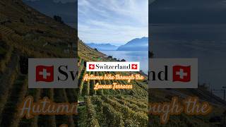 Lavaux Vineyards 🇨🇭 The BEST Hike in Autumn shorts travel lavaux switzerland [upl. by Heilman]