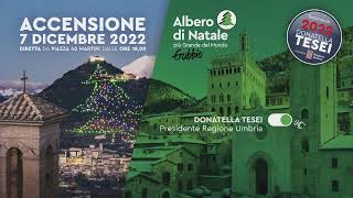 Gubbio PG  Accensione 2022 dellAlbero di Natale più grande del Mondo [upl. by Alyehc229]