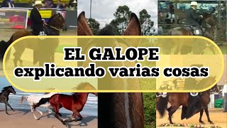 EL GALOPE EXPLICANDO VARIAS COSAS [upl. by Atnauqahs]