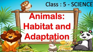 Animals Habitat amp Adaptation  Class 5  Science  CBSE  NCERT  Adaptation in Animals [upl. by Kulsrud]