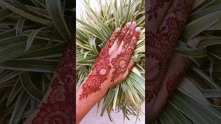 Ascetic mehendi designs statusvideo youtubeshorts mehendi mehendidesign [upl. by Ahsiekat]