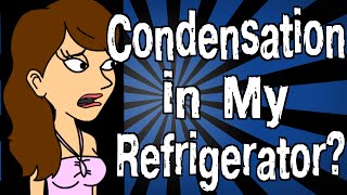 Why is There Condensation in My Refrigerator [upl. by Nesyt]