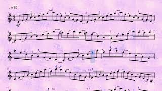 Wohlfahrt Op 45 Violin Etude no 48 ♩80 [upl. by Anilatak]