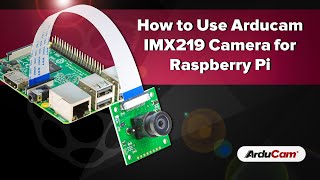 Tutorial How to Use Arducam IMX219 Camera for Raspberry Pi [upl. by Suhail]