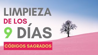 🏆 Limpieza de los 9 días  Códigos Sagrados de Agesta [upl. by Croydon]