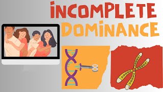 Incomplete Dominance  Biology Animation [upl. by Salamanca]