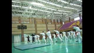 Kenp Contact Karate Ávila España Sensei Francisco Albornoz [upl. by Notnirb]