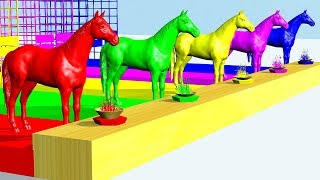 Learn Colors Animals Horse Eat Grass colorful Cartoon for Children [upl. by Llertnek771]