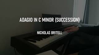 Adagio in C minor Succession Nicholas Britell  Cover [upl. by Jt]