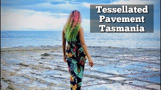 Tessellated Pavement  Eaglehawk Neck Tasmania  Australia australia tasmania travel travelvlog [upl. by Ailana558]