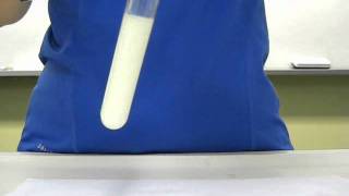 Iodide ion test [upl. by Annaiel]