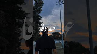 EhdeWafa ost 🫂🤍• Aesthetic video • Urdu lyrics status •shortsehdewafapakistaniostsongstatus [upl. by Adnirb886]