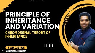 PRINCIPLES OF INHERITANCE AND VARIATION  CHROMOSOMAL THEORY OF INHERITANCE [upl. by Ezana714]