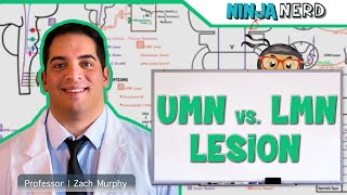 Neurology  Upper Motor Neuron vs Lower Motor Neuron Lesion  UMN vs LMN Lesion [upl. by Yelnikcm]