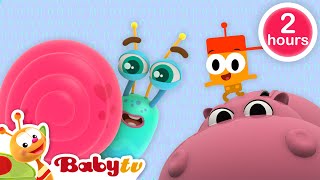 beste van BabyTV 8 😍 kinderliedjes en tekenfilms volledige afleveringen BabyTVNL [upl. by Cleary]