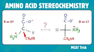 Amino Acid Stereochemistry  R amp S vs D amp L [upl. by Seve]