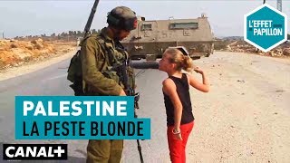 Palestine  La peste blonde  L’Effet Papillon [upl. by Haelat897]