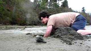 Man Digs Horse Clam with Bare Hands [upl. by Aryas]