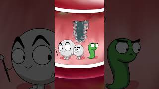 tick parasitized the boy144cartoon animation [upl. by Glaser]