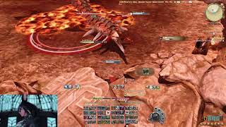 FFXIV The Great Hunt Extreme Rathalos Solo GNB Unsync [upl. by Sherrod411]