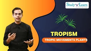 Tropism  Tropic Movements of Plants  Biology  Control and Coordination [upl. by Oatis]