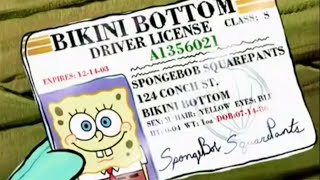 SpongeBob Gets His License spongebob boating drivinglessons mrspuff license [upl. by Einohtna]