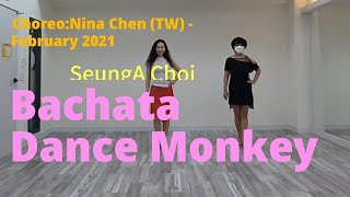 Bachata Dance Monkey Linedance  Improver  바차타 댄스 몽키 라인댄스 쉬운 바차타 라인댄스 [upl. by Nilyam]