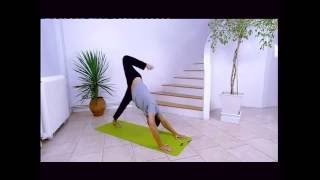 Howard Napper Dynamic Yoga [upl. by Derdlim70]