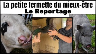 La petite fermette du mieuxêtre  Le Reportage avec SonOffOdin [upl. by Haley484]