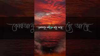 Anisur Rahman Ashrafi best waj  foryou viralvideo love shortsvideo [upl. by Afas969]