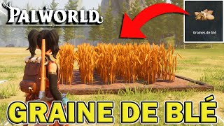 OBTENIR DES GRAINE DE BLÉ  PALWORLD [upl. by Idyh563]