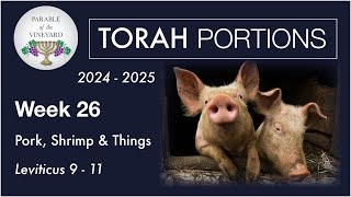 Torah Portion Week 26  Leviticus 9  11  Bible Says No Pork Or Shrimp  2024  2025 [upl. by Zsa]