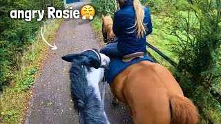 barking dogs  spooking🍃  GO PRO HORSE RIDING [upl. by Gurias]