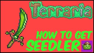 How To Get Seedler Easy In Terraria  Terraria 1449 [upl. by Anastasio]