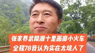 张家界武陵源十里画廊坐小火车，全程78我认为太坑人，你坐过吗？ [upl. by Sikata417]