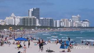 quotSpotting at Miami Beach with the Nikon P1000quot [upl. by Nollad63]