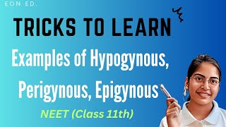 Trick to learn Examples of Hypogynous Perigynous Epigynous [upl. by Okin235]