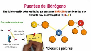 Puentes de Hidrógeno [upl. by Aslam]