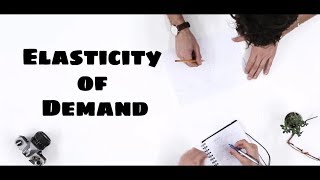 Elasticity of Demand class 12 [upl. by Acinhoj503]