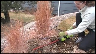 The BEST Way to Prune Ornamental Grasses [upl. by Garda]