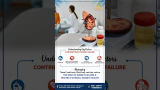 4 Key Factors Contributing to Kidney Failure  Dr Y Haritha  Sanjivi Hospitals [upl. by Regdirb]