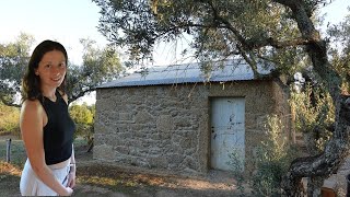 RESTORING 100yearold ABANDONED BARN to Off Grid Homestead [upl. by Aliban]