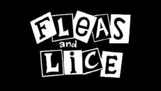 Fleas and Lice [upl. by Olcott742]