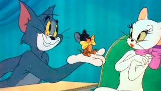 Tom and Jerry  Episode 55  Casanova Cat 1951 [upl. by Notyalc]