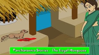 Loyal Mongoose  Panchatantra Hindi Stories  Animated Hindi Stories For Kids  Hindi Kahaniya [upl. by Deehan]