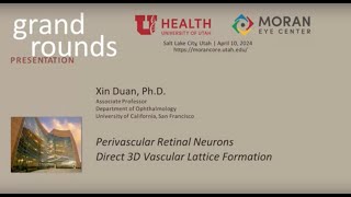 Perivascular Neurons Direct ThreeDimensional Vascular Lattice Formation [upl. by Squire138]