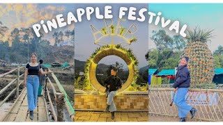 First ever Pineapple Festival🍍🍍at AaloMet Mr Arunachal 2023FoodLocal winesadventure [upl. by Suchta]